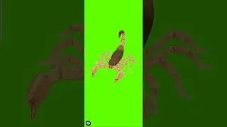 scorpion green screen