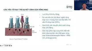 Bài giảng: Bong võng mạc nội khoa: Đánh giá lâm sàng và xử trí