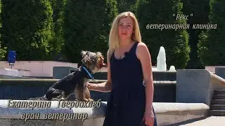 Видео визитка, для youtube канала  Екатерины Твердохлеб. 21.07.2020г.