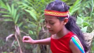 Song: Hơ ren lên rẫy