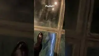 Царская рыба Каспия!