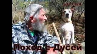 Осенний поход с Дусей. Она засиделась на диване.    23-10-24