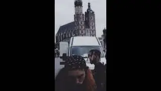 [free for profit] 