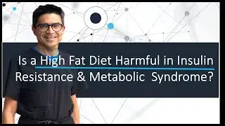 Is a High Fat Diet Harmful in Insulin Resistance & Metabolic Syndrome? #metabolicsyndrome