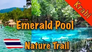 Explore the Emerald Pool  -  Nature Trail [ENG SUB] | Krabi