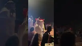 АРАБСКИЙ ТАНЕЦ ЖИВОТА В ДУБАЕ