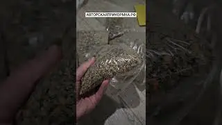 Не рыбалка а бешеный клёв! Это самая уловистая прикормка которая ловит много рыбы! #рыбалка
