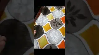 play time #cutecat #love #goldy #funnyvideo #youtubeshorts