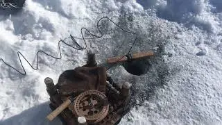 Сегодня я отлично по рыбачил!!!