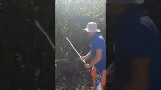 Вечная битва продолжается....