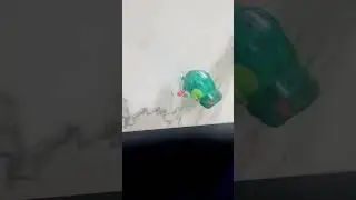 EPIC FALL - Wind Up Frog Toy! 