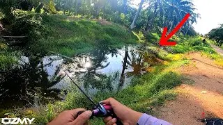 Casting Ikan Haruan