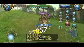 Violacoon vs Magic Device - Toram Online 