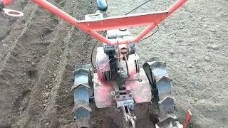 Окучник двух рядный.