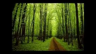 Bodhi Avasa - Positive and negative - Positivo e negativo