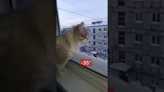 Иди на ружу 