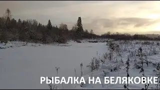 Рыбалка на Беляковке 14.11.2020