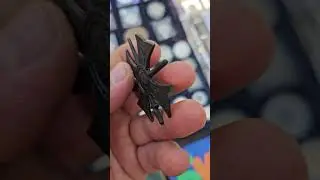 Ростовский клуб коллекционеров #коп2024 #антиквариат #travel #эквинокс900 #history #metaldetecting