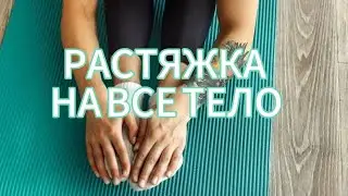 РАСТЯЖКА НА ВСЕ ТЕЛО НА КАЖДЫЙ ДЕНЬ: комплекс упражнений.