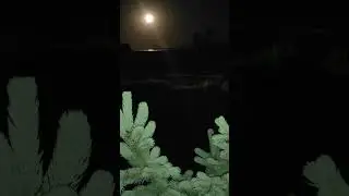 Дело было  тёмной ночью