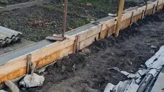 13 ноября 2023 г.