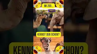 🤣🤣🤣TIERISCH WITZIG - NEULICH IM ZOO🤣🤣🤣 