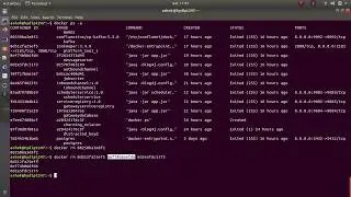 Remove Multiple Docker containers