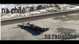 ВЕСНА ПРИШЛА|влог