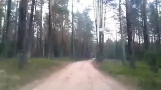 Эх, дороги! О машинах.  Немного офф - рода.
