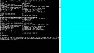 Memory Analysis of Live Physical Memory - RAM