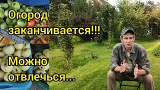 Огород заканчивается... Можно отвлечься...