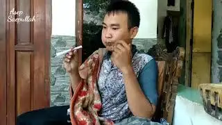 Sakit Gigi Sembuh Pengobatan Alternatif