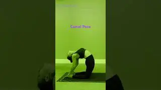 Hot Yoga's CAMEL Pose for Beginners.