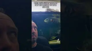Monster fish room tales! #shorts #fyp #foryou #fishtok