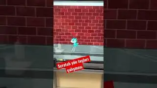 Scratch uygulamasında yön tuşları çalışması. Çocuklar işin kodlama.