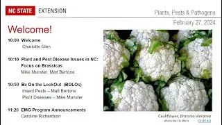 PPP February 2024 | Current Plant Pest and Disease Issues in NC: Focus on BRASSICAS