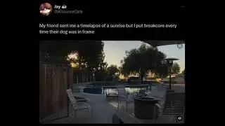 Sunrise Breakcore Dog