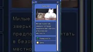 Террария мем