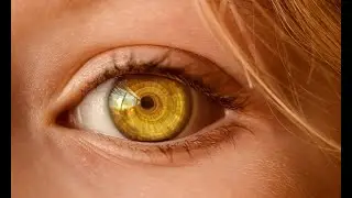 1 Trick To Always Remembering Hypnotic Language Patterns