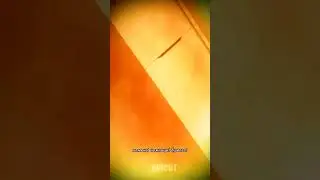 Совсем необычные друзья | Хоримия 