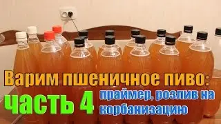 Варим пшеничное пиво: часть 4 (праймер и карбонизация)