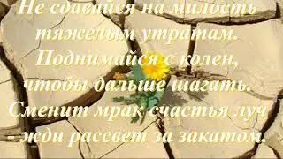 Новая встреча