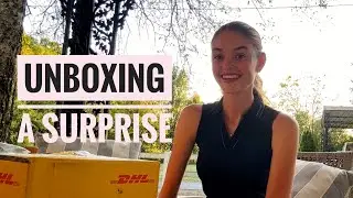 Lumiere Bridle and tack Unboxing by Willow Hand