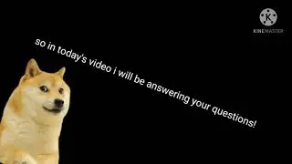Answering your questions!