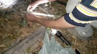 Minha primeira vez no Mato caçar