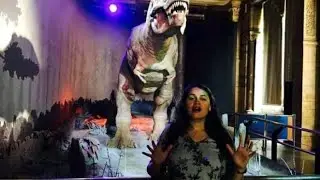 लोक कला को बढ़ावा देने के लिए जैसलमेर कलेक्टर टीना डाबी का पहल के तहत कलाकारों से मुलाकात की #ias