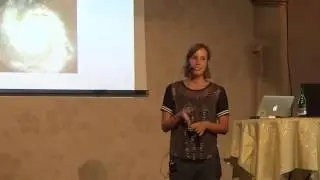 Sonja Heinen - Visual Documentation Language