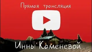 прямой эфир с Инной Каменевой / День города Ковылкино