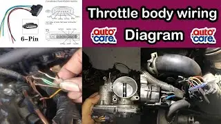Throttle body wiring diagram| Auto Care