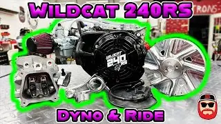 Wildcat 240RS Dyno & Ride ~ How Much Power Will It Make?